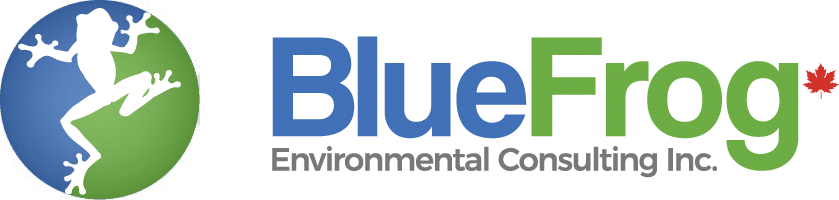BlueFrog Environmental Consulting Inc.
